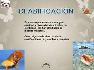 En nuestro planeta existe una gran 
cantidad y diversidad de animales, los 
científicos los han clasificado de 
muchas maneras . 
Como algunos de ellos requieren 
clasificaciones muy amplias y compleja. 
 