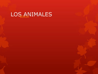 LOS ANIMALES BORJA 
 
