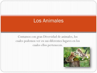 Contamos con gran Diversidad de animales, los cuales podemos ver en sus diferentes lugares en los cuales ellos pertenecen. 
Los Animales  