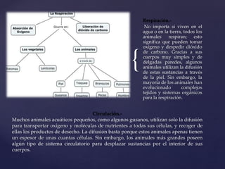 { 
Respiración.- 
No importa si viven en el 
agua o en la tierra, todos los 
animales respiran; esto 
significa que pueden tomar 
oxígeno y despedir dióxido 
de carbono. Gracias a sus 
cuerpos muy simples y de 
delgadas paredes, algunos 
animales utilizan la difusión 
de estas sustancias a través 
de la piel. Sin embargo, la 
mayoría de los animales han 
evolucionado complejos 
tejidos y sistemas orgánicos 
para la respiración. 
Circulación.- 
Muchos animales acuáticos pequeños, como algunos gusanos, utilizan solo la difusión 
para transportar oxígeno y moléculas de nutrientes a todas sus células, y recoger de 
ellas los productos de desecho. La difusión basta porque estos animales apenas tienen 
un espesor de unas cuantas células. Sin embargo, los animales más grandes poseen 
algún tipo de sistema circulatorio para desplazar sustancias por el interior de sus 
cuerpos. 
 