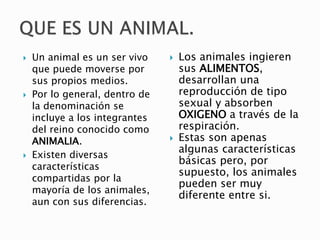  Un animal es un ser vivo
que puede moverse por
sus propios medios.
 Por lo general, dentro de
la denominación se
incluye a los integrantes
del reino conocido como
ANIMALIA.
 Existen diversas
características
compartidas por la
mayoría de los animales,
aun con sus diferencias.
 Los animales ingieren
sus ALIMENTOS,
desarrollan una
reproducción de tipo
sexual y absorben
OXIGENO a través de la
respiración.
 Estas son apenas
algunas características
básicas pero, por
supuesto, los animales
pueden ser muy
diferente entre si.
 