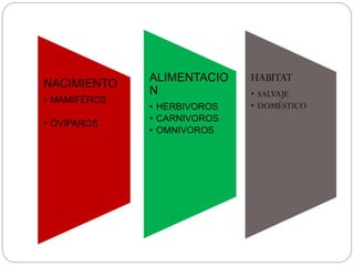 NACIMIENTO
• MAMIFEROS
• OVIPAROS
ALIMENTACIO
N
• HERBIVOROS
• CARNIVOROS
• OMNIVOROS