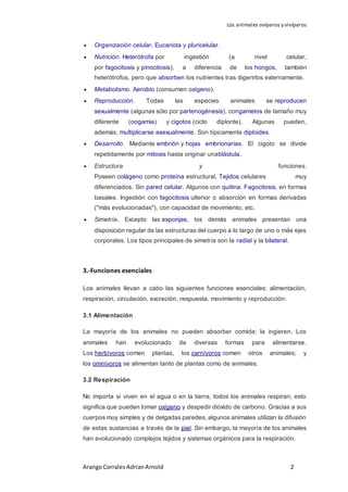 Los animales ovíparos y vivíparos
ArangoCorralesAdrianArnold 2
 Organización celular. Eucariota y pluricelular.
 Nutrición. Heterótrofa por ingestión (a nivel celular,
por fagocitosis y pinocitosis), a diferencia de los hongos, también
heterótrofos, pero que absorben los nutrientes tras digerirlos externamente.
 Metabolismo. Aerobio (consumen oxígeno).
 Reproducción. Todas las especies animales se reproducen
sexualmente (algunas sólo por partenogénesis), congametos de tamaño muy
diferente (oogamia) y cigotos (ciclo diplonte). Algunas pueden,
además, multiplicarse asexualmente. Son típicamente diploides.
 Desarrollo. Mediante embrión y hojas embrionarias. El cigoto se divide
repetidamente por mitosis hasta originar unablástula.
 Estructura y funciones.
Poseen colágeno como proteína estructural. Tejidos celulares muy
diferenciados. Sin pared celular. Algunos con quitina. Fagocitosis, en formas
basales. Ingestión con fagocitosis ulterior o absorción en formas derivadas
("más evolucionadas"), con capacidad de movimiento, etc.
 Simetría. Excepto las esponjas, los demás animales presentan una
disposición regular de las estructuras del cuerpo a lo largo de uno o más ejes
corporales. Los tipos principales de simetría son la radial y la bilateral.
3.-Funciones esenciales
Los animales llevan a cabo las siguientes funciones esenciales: alimentación,
respiración, circulación, excreción, respuesta, movimiento y reproducción:
3.1 Alimentación
La mayoría de los animales no pueden absorber comida; la ingieren. Los
animales han evolucionado de diversas formas para alimentarse.
Los herbívoros comen plantas, los carnívoros comen otros animales; y
los omnívoros se alimentan tanto de plantas como de animales.
3.2 Respiración
No importa si viven en el agua o en la tierra, todos los animales respiran; esto
significa que pueden tomar oxígeno y despedir dióxido de carbono. Gracias a sus
cuerpos muy simples y de delgadas paredes, algunos animales utilizan la difusión
de estas sustancias a través de la piel. Sin embargo, la mayoría de los animales
han evolucionado complejos tejidos y sistemas orgánicos para la respiración.
 