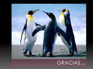 GRACIAS…
 