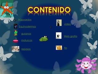 trópoardos
Equinodermos
gusanos
moluscos
repasos
video
Web grafía
fin
 