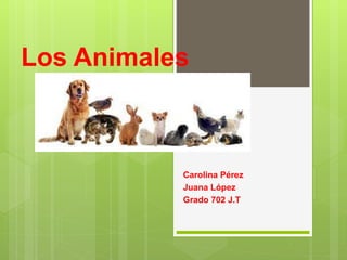 Los Animales
Carolina Pérez
Juana López
Grado 702 J.T
 