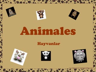 Animales
Hayvanlar
 