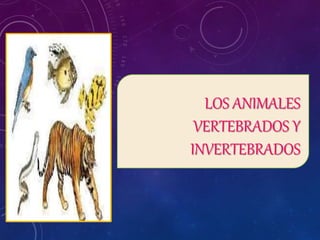 LOS ANIMALES
VERTEBRADOS Y
INVERTEBRADOS
 