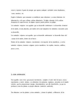 crecer y reponer el gasto de energía que supone cualquier actividad como desplazarse,
cazar, masticar, etc.
Según el alimento que consumen se establecen unas relaciones y a estas relaciones de
alimentación es lo que se llama cadena alimentaria. Si algún elemento de la cadena
desaparece la supervivencia de alguna especie puede ponerse en peligro.
Los animales vivíparos son aquellos que su desarrollo embrionario se desarrolla al interior
de la madre, en una placenta, por medio de la cual adquieren los nutrientes necesarios para
su desarrollo.
Los animales ovíparos son aquellos que su desarrollo embrionario se desarrolla fuera del
cuerpo de la madre, dentro de un huevo.
Dentro de los animales vivíparos encontramos a la mayoría de los mamíferos, y en los
animales ovíparos, tenemos a algunos pocos mamíferos, los reptiles, insectos, anfibios,
peces y aves.
2.- LOS ANIMALES
Son aquellos seres vivos que poseen movimiento, cumplen el ciclo vital de nacer, crecer,
reproducirse y morir, sienten, y se alimentan de sustancias orgánicas, presentes en el mundo
exterior, que les proporcionan energía, denominándose por ello heterótrofos, ya que no
producen como las plantas su propio alimento (nutrición autótrofa).
Sus alimentos son las plantas u otros animales, y tienen la aptitud, a diferencia de las
 