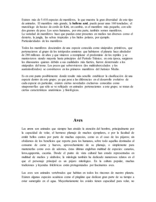Existen más de 5.410 especies de mamíferos, lo que muestra la gran diversidad de este tipo
de animales. El mamífero más grande, la ballena azul, puede pesar unas 160 toneladas; el
murciélago de hocico de cerdo de Kitti, en cambio, es el mamífero más pequeño, con sólo
dos gramos de peso. Los seres humanos, por otra parte, también somos mamíferos.
La variedad de mamíferos hace que puedan estar presentes en medios tan diversos como el
desierto, la jungla, las selvas tropicales y los hielos polares, por ejemplo.
Particularidades de los mamíferos
Todos los mamíferos descienden de una especie conocida como sinápsidos primitivos, que
pertenecieron al grupo de los tetrápodos amniotas que habitaron el planeta hace alrededor
de 280 millones de años y que vinieron a reemplazar el predominio de los reptiles y se
mantuvieron siendo mayoría hasta principios del Período Triásico; en esta época, surgieron
los dinosaurios quienes debido a sus cualidades más fuertes, fueron desterrando a los
sinápsidos del trono. Los pocos que sobrevivieron (los multituberculados y los
australosfénidos) se convirtieron en los primeros mamíferos del Jurásico Medio.
Es en este punto posiblemente donde resulte más sencillo establecer la clasificación de una
especie dentro de este grupo; ya que pese a las diferencias en el desarrollo evolutivo de
cada especie en particular, existen ciertas novedades exclusivas conocidas como
sinapomorfías que sólo se ve reflejado en animales pertenecientes a este grupo; se tratan de
ciertas características anatómicas y fisiológicas.
Aves
Las aves son animales que siempre han atraído la atención del hombre, principalmente por
la capacidad de volar, el hermoso plumaje de muchos ejemplares, o por la facultad de
emitir bellos cantos por parte de muchas especies, como es el caso de los pájaros; sin
olvidarnos de los beneficios que reporta para los humanos, sobre todo aquellas destinadas al
consumo de carne y huevos, aprovechamiento de su plumaje, o simplemente para
mantenerlas como aves de adornos, éstas últimas engloban multitud de especies: canarios,
loros,agapornis, cacatúa. Desde el punto de vista cultural han estado representadas en
multitud de medios y símbolos; la mitología también ha dedicado numerosos relatos en el
que el personaje principal es un pájaro mitológico. En la cultura popular, muchas
tradiciones y leyendas folclóricas están protagonizadas por fascinantes aves.
Las aves son animales vertebrados que habitan en todos los rincones de nuestro planeta.
Existen algunas especies acuáticas como el pingüino que dedican gran parte de su tiempo a
estar sumergido en el agua. Mayoritariamente los aviales tienen capacidad para volar, no
 