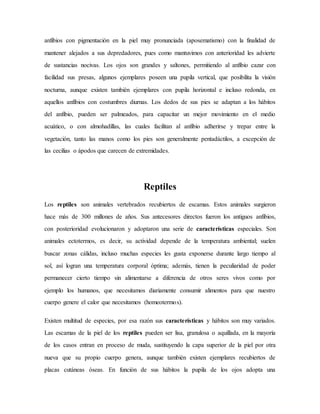 anfibios con pigmentación en la piel muy pronunciada (aposematismo) con la finalidad de
mantener alejados a sus depredadores, pues como mantuvimos con anterioridad les advierte
de sustancias nocivas. Los ojos son grandes y saltones, permitiendo al anfibio cazar con
facilidad sus presas, algunos ejemplares poseen una pupila vertical, que posibilita la visión
nocturna, aunque existen también ejemplares con pupila horizontal e incluso redonda, en
aquellos anfibios con costumbres diurnas. Los dedos de sus pies se adaptan a los hábitos
del anfibio, pueden ser palmeados, para capacitar un mejor movimiento en el medio
acuático, o con almohadillas, las cuales facilitan al anfibio adherirse y trepar entre la
vegetación, tanto las manos como los pies son generalmente pentadáctilos, a excepción de
las cecilias o ápodos que carecen de extremidades.
Reptiles
Los reptiles son animales vertebrados recubiertos de escamas. Estos animales surgieron
hace más de 300 millones de años. Sus antecesores directos fueron los antiguos anfibios,
con posterioridad evolucionaron y adoptaron una serie de características especiales. Son
animales ectotermos, es decir, su actividad depende de la temperatura ambiental; suelen
buscar zonas cálidas, incluso muchas especies les gusta exponerse durante largo tiempo al
sol, así logran una temperatura corporal óptima; además, tienen la peculiaridad de poder
permanecer cierto tiempo sin alimentarse a diferencia de otros seres vivos como por
ejemplo los humanos, que necesitamos diariamente consumir alimentos para que nuestro
cuerpo genere el calor que necesitamos (homeotermos).
Existen multitud de especies, por esa razón sus características y hábitos son muy variados.
Las escamas de la piel de los reptiles pueden ser lisa, granulosa o aquillada, en la mayoría
de los casos entran en proceso de muda, sustituyendo la capa superior de la piel por otra
nueva que su propio cuerpo genera, aunque también existen ejemplares recubiertos de
placas cutáneas óseas. En función de sus hábitos la pupila de los ojos adopta una
 