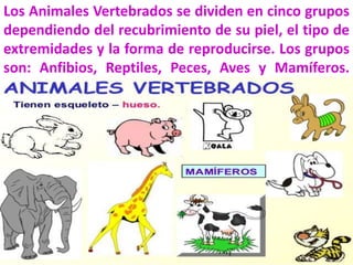 Los animales | PPTX