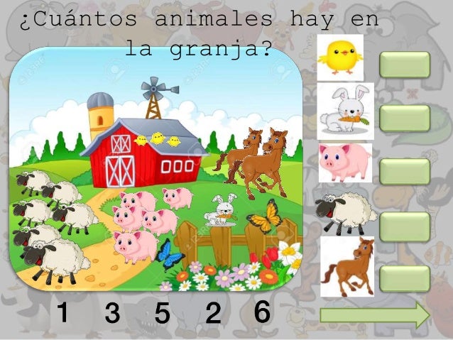Los animales