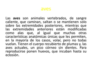 aves
Las aves son animales vertebrados, de sangre
caliente, que caminan, saltan o se mantienen solo
sobre las extremidades posteriores, mientras que
las extremidades anteriores están modificadas
como alas que, al igual que muchas otras
características anatómicas únicas que les permiten,
en la mayoría de los casos, volar, pero no todas
vuelan. Tienen el cuerpo recubierto de plumas y, las
aves actuales, un pico córneo sin dientes. Para
reproducirse ponen huevos, que incuban hasta su
eclosión.
 