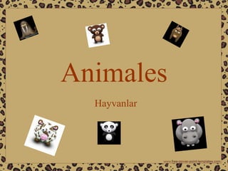 Animales
Hayvanlar
 