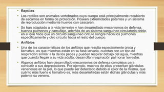 • Reptiles
• Los reptiles son animales vertebrados cuyo cuerpo está principalmente recubierto
de escamas en forma de protección. Poseen extremidades potentes y un sistema
de reproducción mediante huevos con cascarón.
• Se han adaptado a la vida terrestre y han desarrollado mecanismos de defensa,
buenos pulmones y camuflaje, además de un sistema sanguíneo circulatorio doble,
en el que hace que un circuito sanguíneo circule sangre hacia los pulmones
específicamente y otro circuito hacia el resto del cuerpo.
• Anfibios
• Una de las características de los anfibios que resulta especialmente única y
llamativa, es que mientras están en su fase larvaria, cuentan con un tipo de
respiración similar a la de los peces y pueden respirar debajo del agua, mientras
que cuando llegan a su vida adulta, desarrollan respiración pulmonar terrestre.
• Algunos anfibios han desarrollado mecanismos de defensa complejos para
combatir a sus depredadores. Por ejemplo, muchos de ellos presentan glándulas
venenosas en la piel, lo que puede ser detectado debido al color de la misma, que
cuánto más fuerte o llamativo es, más desarrolladas están dichas glándulas y más
potente su veneno.
 