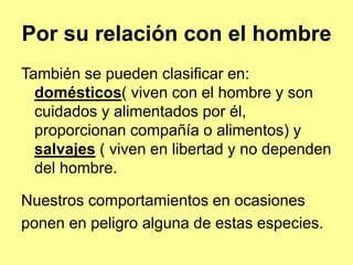 También se pueden clasificar en:
domésticos( viven con el hombre y son
cuidados y alimentados por él,
proporcionan compañía o alimentos) y
salvajes ( viven en libertad y no dependen
del hombre.
Nuestros comportamientos en ocasiones
ponen en peligro alguna de estas especies.
Por su relación con el hombre
 
