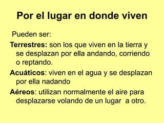 Por el lugar en donde viven
Pueden ser:
Terrestres: son los que viven en la tierra y
se desplazan por ella andando, corriendo
o reptando.
Acuáticos: viven en el agua y se desplazan
por ella nadando
Aéreos: utilizan normalmente el aire para
desplazarse volando de un lugar a otro.
 