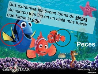 Peces
 