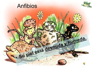 Anfibios
 