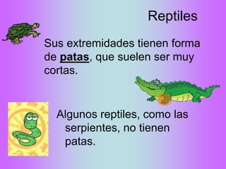 Reptiles
Sus extremidades tienen forma
de patas, que suelen ser muy
cortas.
Algunos reptiles, como las
serpientes, no tienen
patas.
 