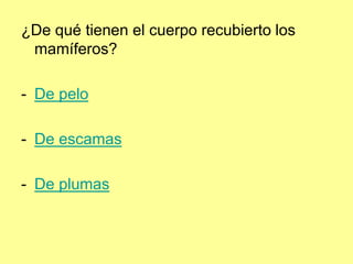 ¿De qué tienen el cuerpo recubierto los
mamíferos?
- De pelo
- De escamas
- De plumas
 