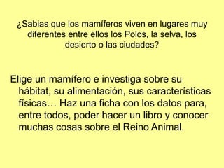 ¿Sabias que los mamíferos viven en lugares muy
diferentes entre ellos los Polos, la selva, los
desierto o las ciudades?
Elige un mamífero e investiga sobre su
hábitat, su alimentación, sus características
físicas… Haz una ficha con los datos para,
entre todos, poder hacer un libro y conocer
muchas cosas sobre el Reino Animal.
 