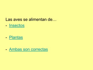 Las aves se alimentan de…
- Insectos
- Plantas
- Ambas son correctas
 