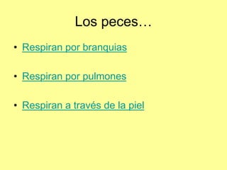 Los peces…
• Respiran por branquias
• Respiran por pulmones
• Respiran a través de la piel
 