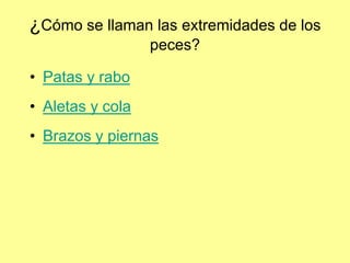 ¿Cómo se llaman las extremidades de los
peces?
• Patas y rabo
• Aletas y cola
• Brazos y piernas
 