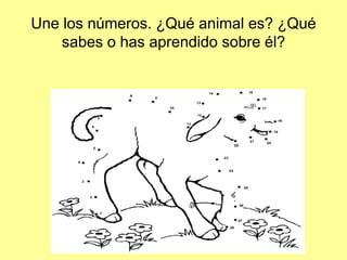 Une los números. ¿Qué animal es? ¿Qué
sabes o has aprendido sobre él?
 