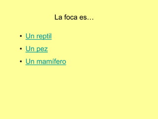 La foca es…
• Un reptil
• Un pez
• Un mamífero
 