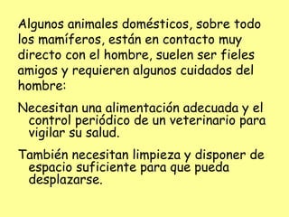 Algunos animales domésticos, sobre todo
los mamíferos, están en contacto muy
directo con el hombre, suelen ser fieles
amigos y requieren algunos cuidados del
hombre:
Necesitan una alimentación adecuada y el
control periódico de un veterinario para
vigilar su salud.
También necesitan limpieza y disponer de
espacio suficiente para que pueda
desplazarse.
 