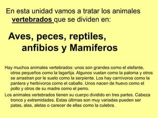 En esta unidad vamos a tratar los animales
vertebrados que se dividen en:
Aves, peces, reptiles,
anfibios y Mamiferos
Hay muchos animales vertebrados: unos son grandes como el elefante,
otros pequeños como la lagartija. Algunos vuelan como la paloma y otros
se arrastran por le suelo como la serpiente. Los hay carnívoros como la
pantera y herbívoros como el caballo. Unos nacen de huevo como el
pollo y otros de su madre como el perro.
Los animales vertebrados tienen su cuerpo dividido en tres partes. Cabeza
tronco y extremidades. Estas últimas son muy variadas pueden ser
patas, alas, aletas o carecer de ellas como la culebra.
 