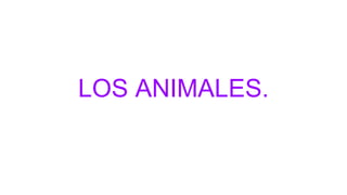 LOS ANIMALES.
 
