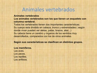 Animales vertebrados
Animales vertebrados
Los animales vertebrados son los que tienen un esqueleto con
columna vertebral.
Todos los vertebrados tienen dos importantes características:
Su cuerpo esta dividido en cabeza, tronco y extremidades ( según
donde vivan pueden ver aletas, patas, brazos, alas...)
Su cabeza tiene un cerebro y órganos de los sentidos muy
desarrollados, comparados con los de otros animales.
Según sus características se clasifican en distintos grupos.
Los mamíferos.
Las aves.
Los peces.
Los reptiles.
Los anfibios.
 