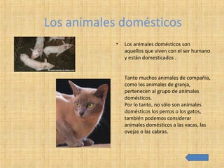 Los animales domésticos
• Los animales domésticos son
aquellos que viven con el ser humano
y están domesticados .
Tanto muchos animales de compañía,
como los animales de granja,
pertenecen al grupo de animales
domésticos.
Por lo tanto, no sólo son animales
domésticos los perros o los gatos,
también podemos considerar
animales domésticos a las vacas, las
ovejas o las cabras.
 