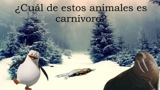 ¿Cuál de estos animales es
carnívoro?
 