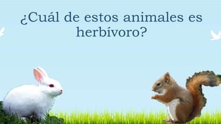 ¿Cuál de estos animales es
herbívoro?
 