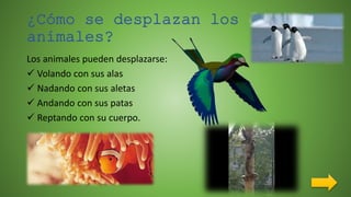 ¿Cómo se desplazan los
animales?
Los animales pueden desplazarse:
 Volando con sus alas
 Nadando con sus aletas
 Andando con sus patas
 Reptando con su cuerpo.
 