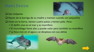 Mamíferos
 Son vivíparos
 Nacen de la barriga de su madre y maman cuando son pequeños
 Viven en la tierra, tienen cuatro patas y tienen pelo. Pero:
 El delfín vive en el mar y es mamífero
El murciélago tiene alas y puede volar pero también es mamífero
La foca vive en el agua y se desplaza con sus aletas
 
