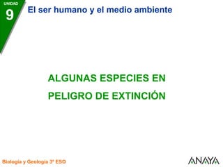 UNIDAD
Biología y Geología 3º ESO
ALGUNAS ESPECIES EN
PELIGRO DE EXTINCIÓN
9 El ser humano y el medio ambiente
 