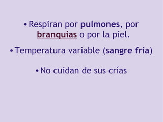     Respiran por  pulmones , por  branquias  o por la piel.   Temperatura variable ( sangre fría )   No cuidan de sus crías 