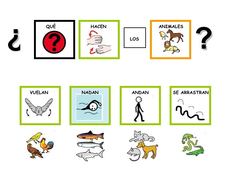 Los animales 1