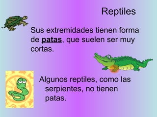 Reptiles
Sus extremidades tienen forma
de patas, que suelen ser muy
cortas.

Algunos reptiles, como las
serpientes, no tienen
patas.

 