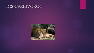 LOS CARNIVOROS

 