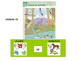 CLASES  DE ANIMALES UNIDAD 10 