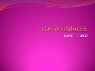 LOS ANIMALES SANDRA GELIZ 