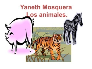Yaneth Mosquera
      Los animales.
.
 