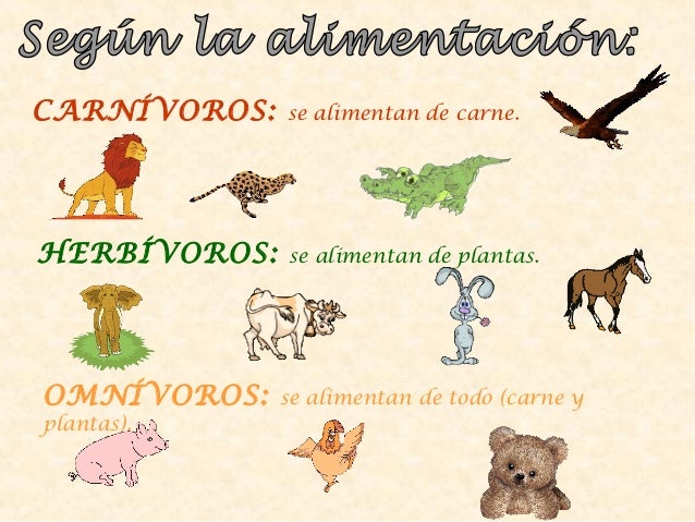 Resultado de imagen para reproducción en los animales para niños